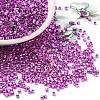 Electroplate Glass Seed Beads SEED-S042-01B-16-1