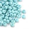 Baking Paint Glass Seed Beads SEED-Q025-3mm-L10-2