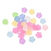Frosted Transparent Acrylic Beads FACR-C001-01F-1