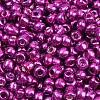 6/0 Glass Seed Beads E06900B4-1