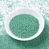 MIYUKI Delica Beads SEED-MY11-DB2053-2