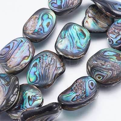Natural Abalone Shell/Paua Shell Beads Strands SSHEL-P014-04-1
