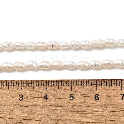 Natural Cultured Freshwater Pearl Beads Strands PEAR-I007-01O-01C-1