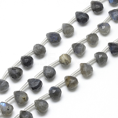 Natural Labradorite Beads Strands G-R435-15G-1