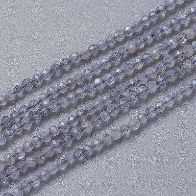 Natural Labradorite Beads Strands G-F596-43-2mm-1