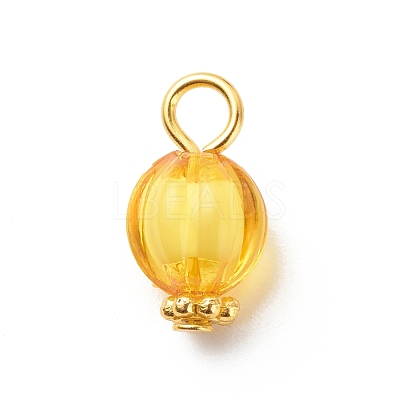 Transparent Acrylic Pendants PALLOY-JF01834-06-1