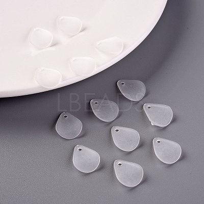 Transparent Frosted Acrylic Pendants MACR-S371-09A-701-1