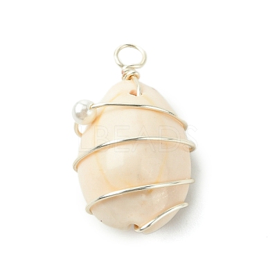 Natural Cowrie Shell Copper Wire Wrapped Pendants PALLOY-TA00196-02-1