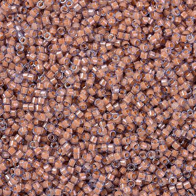 MIYUKI Delica Beads SEED-X0054-DB2042-1