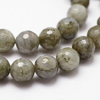 Natural Labradorite Beads Strands G-G736-04-8mm-1