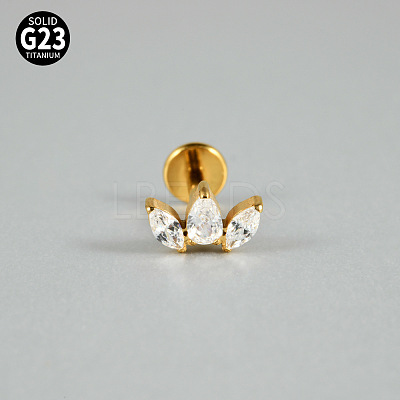 G23 Titanium Micro Pave Cubic Zirconia Cartilage Earrings WG0CACB-06-1