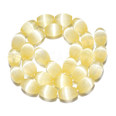 Dyed Natural Selenite Beads Strands G-T138-232J-1