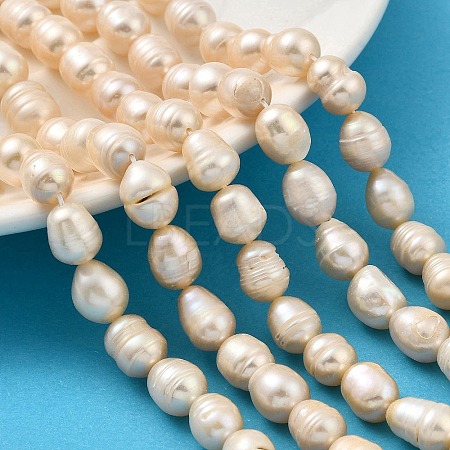 Natural Cultured Freshwater Pearl Beads Strands PEAR-I007-01E-01B-1
