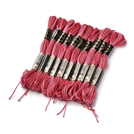 10 Skeins 6-Ply Polyester Embroidery Floss OCOR-K006-A19-1